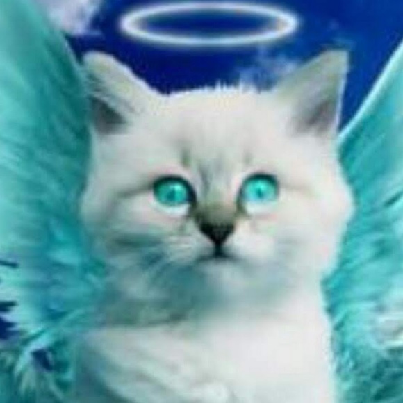 Meet your Posher, Denise - Picture 1 of 1